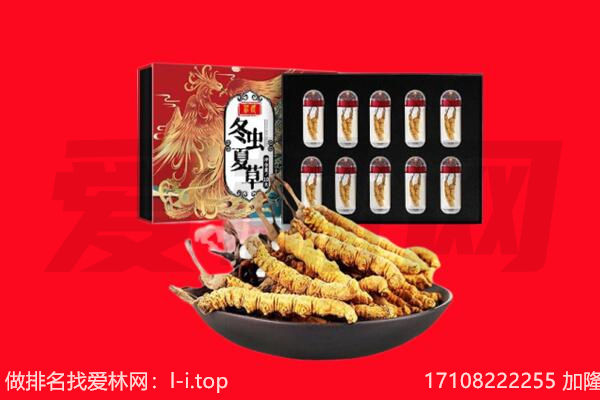 昆明市东川回收虫草.jpg
